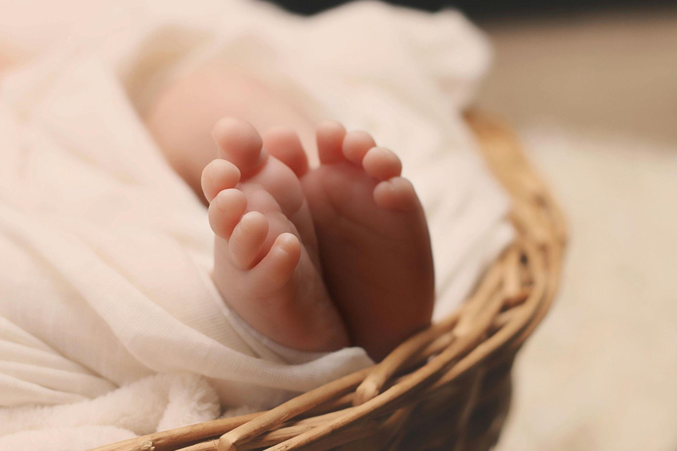 Best High Chair for Baby: Safe and Comfortable Choices